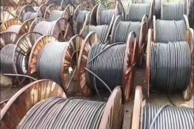 武漢回收服務全解析 資源循環利用，共建綠色城市